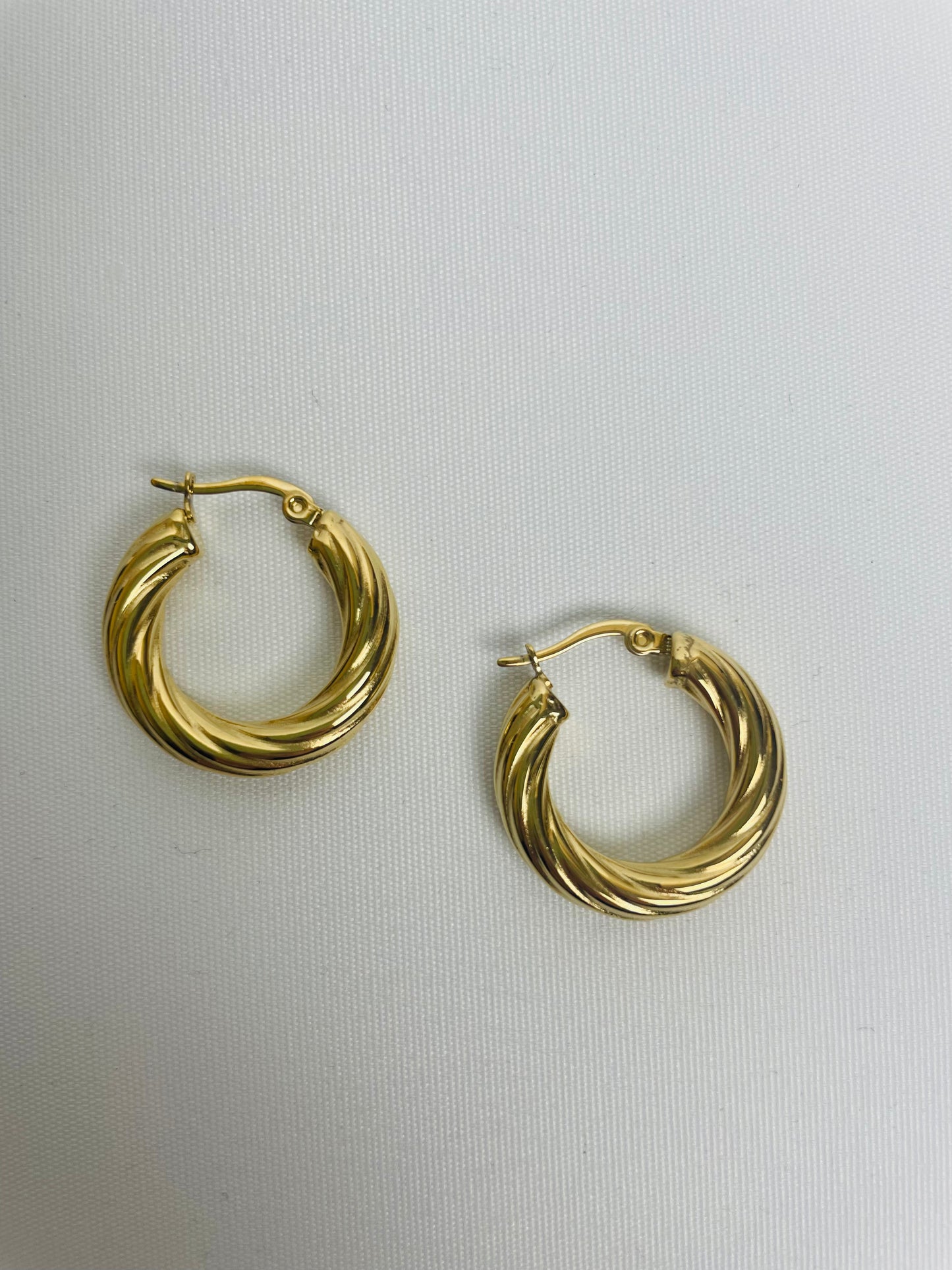 Oorbellen Twist